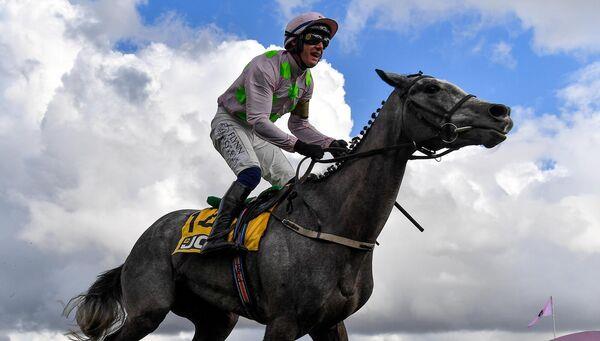 Lossiemouth, with Paul Townend aboard, celebrate winning the JCB Triumph Hurdle at Cheltenham. Picture: Seb Daly/Sportsfile Lossiemouth, with Paul Townend aboard, celebrate winning the JCB Triumph Hurdle at Cheltenham. Picture: Seb Daly/Sportsfile
